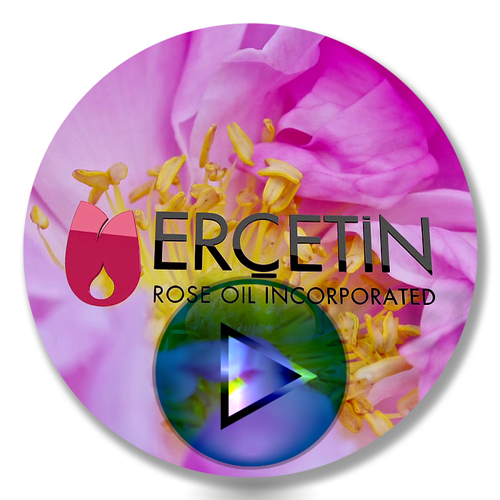 Ercetin Rose Oil corporate video